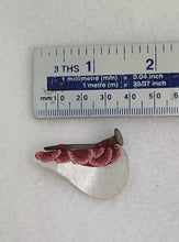 Load image into Gallery viewer, Mudlarked Nail & Silver brooch