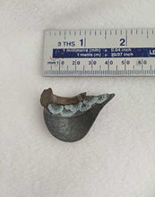 Load image into Gallery viewer, Mudlarked Nail &amp; Silver brooch
